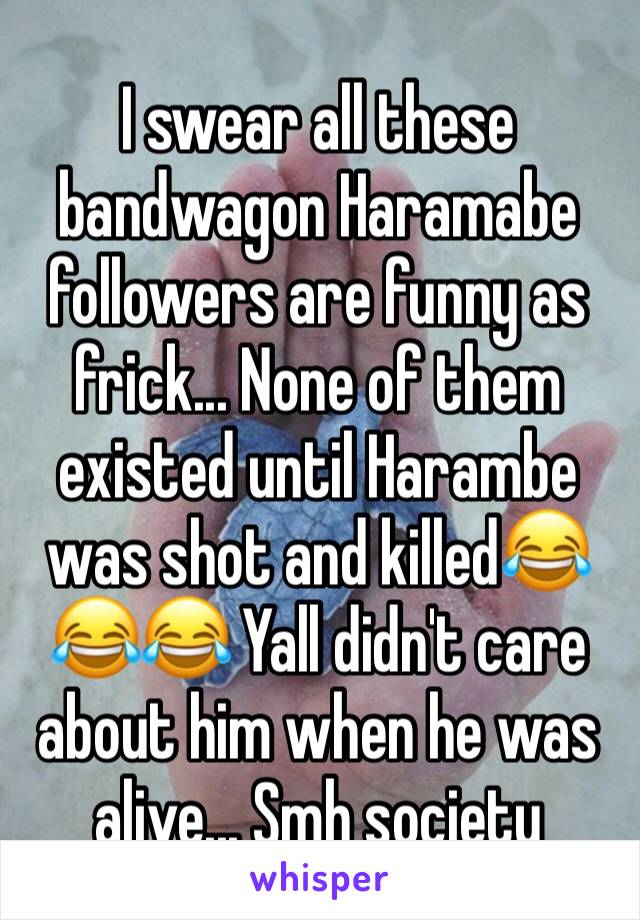 I swear all these bandwagon Haramabe followers are funny as frick... None of them existed until Harambe was shot and killed😂😂😂 Yall didn't care about him when he was alive... Smh society
