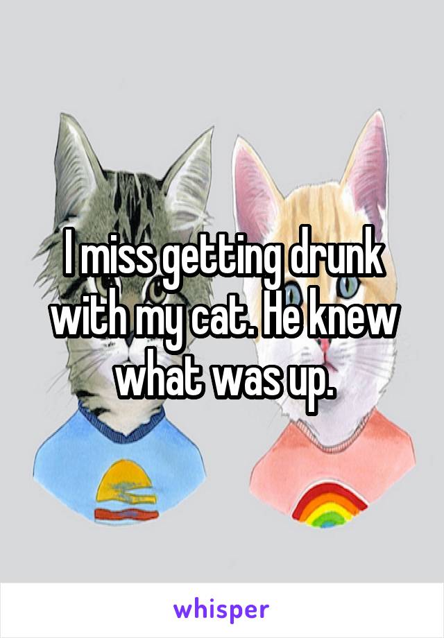 I miss getting drunk with my cat. He knew what was up.