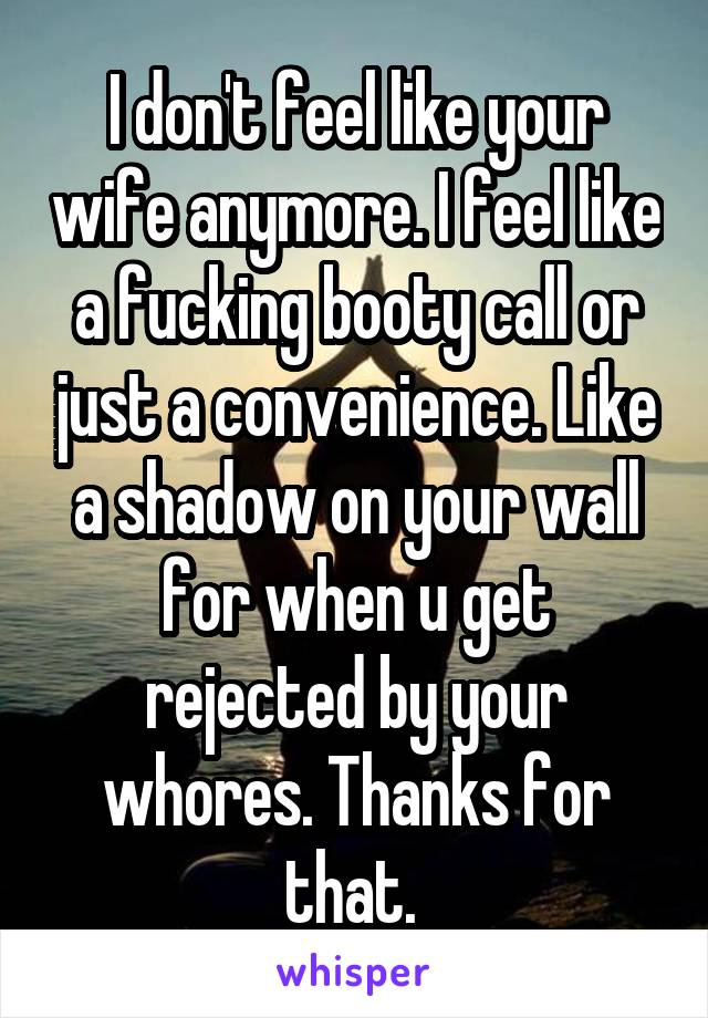 I don't feel like your wife anymore. I feel like a fucking booty call or just a convenience. Like a shadow on your wall for when u get rejected by your whores. Thanks for that. 