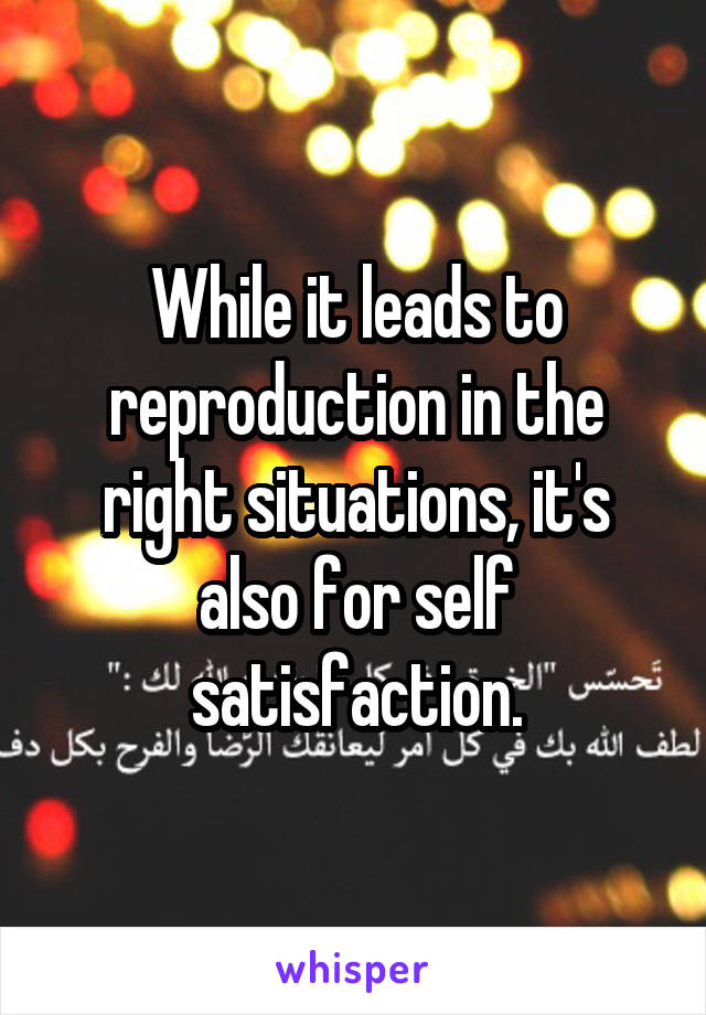 While it leads to reproduction in the right situations, it's also for self satisfaction.