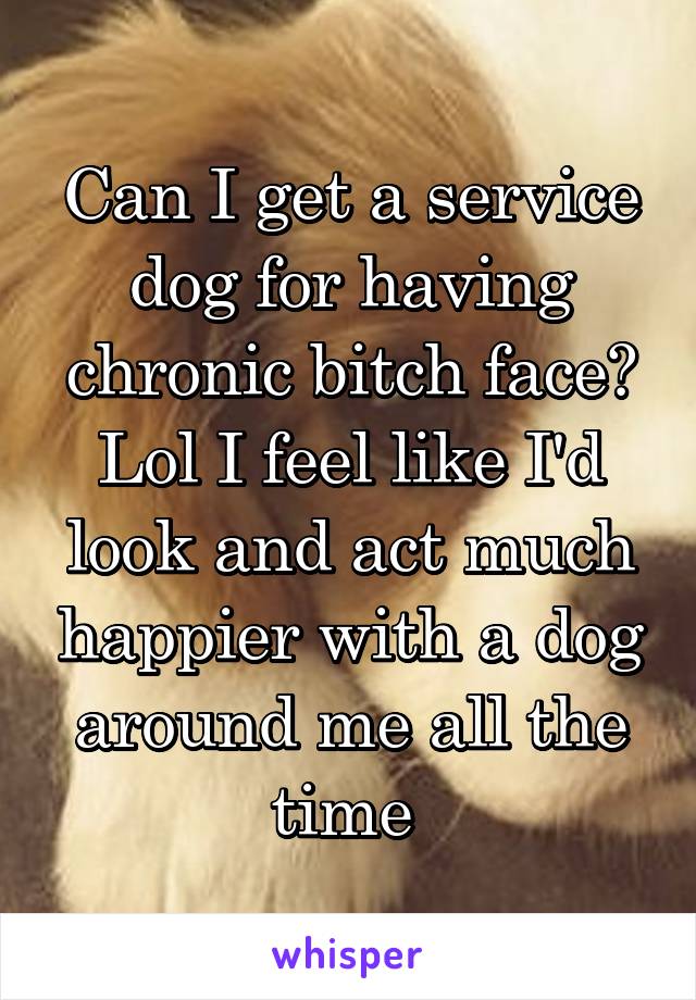 Can I get a service dog for having chronic bitch face? Lol I feel like I'd look and act much happier with a dog around me all the time 