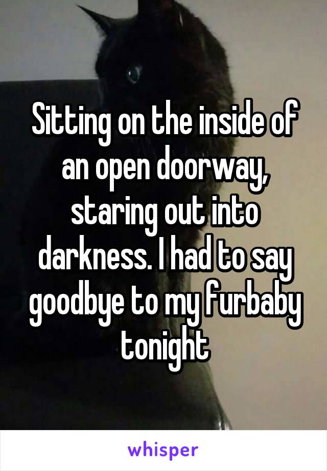 Sitting on the inside of an open doorway, staring out into darkness. I had to say goodbye to my furbaby tonight