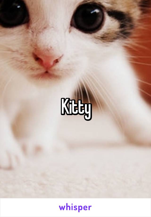 Kitty