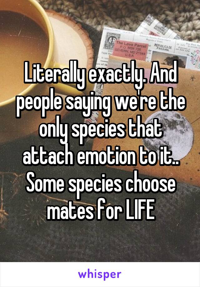 Literally exactly. And people saying we're the only species that attach emotion to it.. Some species choose mates for LIFE