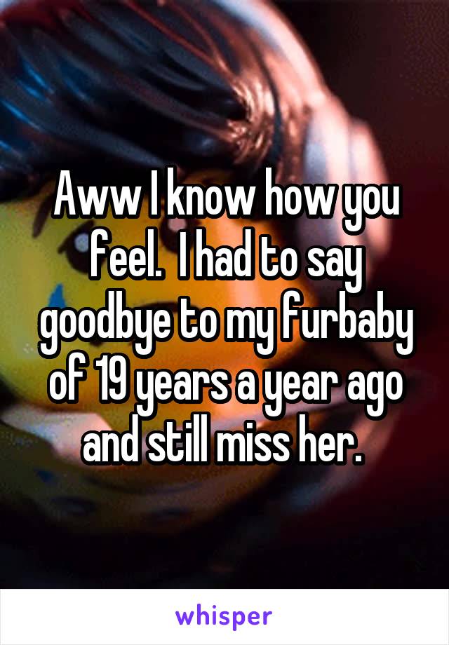 Aww I know how you feel.  I had to say goodbye to my furbaby of 19 years a year ago and still miss her. 