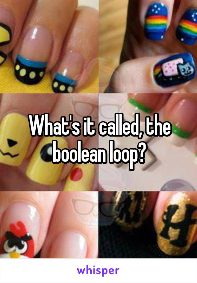 What's it called, the boolean loop?