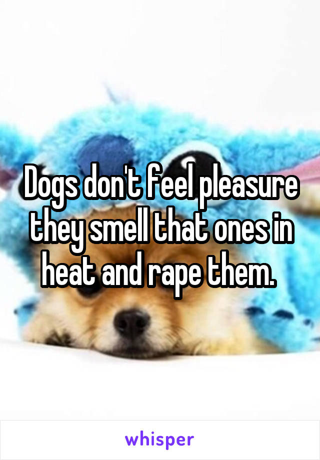 Dogs don't feel pleasure they smell that ones in heat and rape them. 