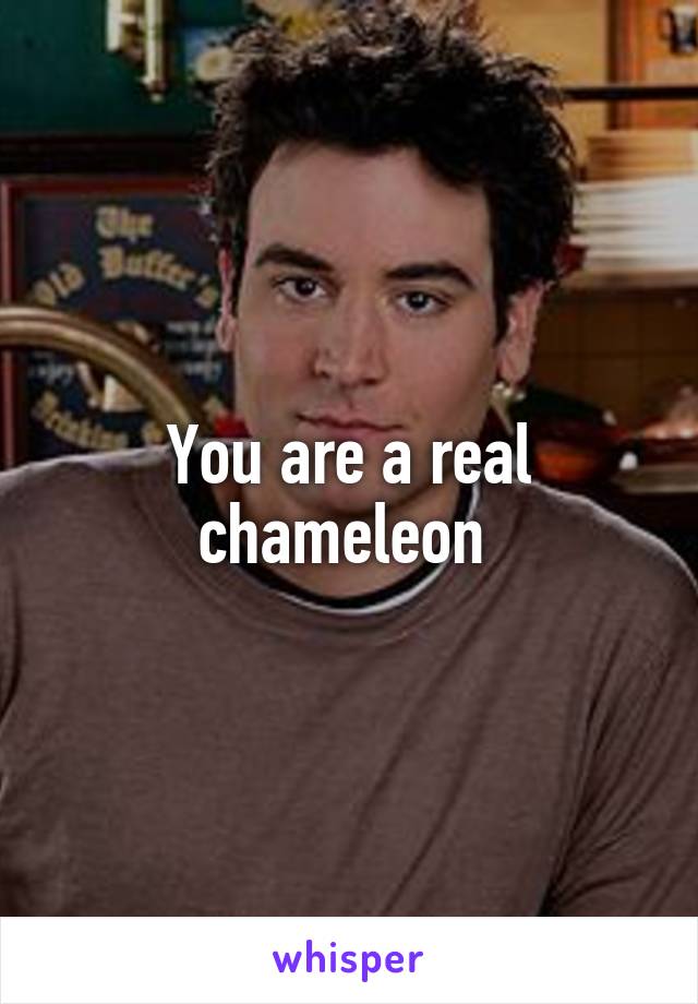 You are a real chameleon 