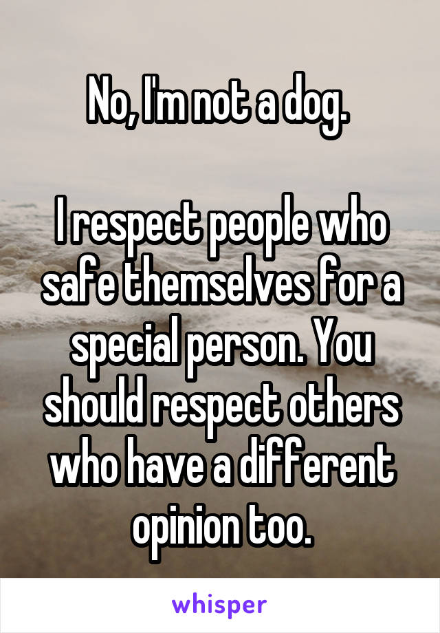 No, I'm not a dog. 

I respect people who safe themselves for a special person. You should respect others who have a different opinion too.