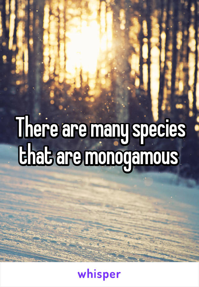There are many species that are monogamous 