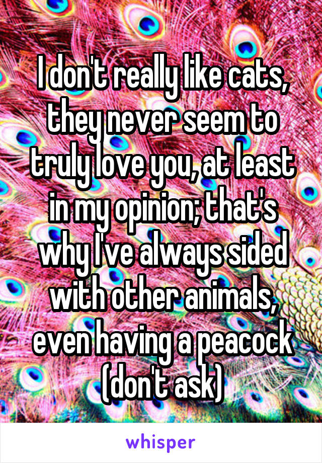 I don't really like cats, they never seem to truly love you, at least in my opinion; that's why I've always sided with other animals, even having a peacock (don't ask)