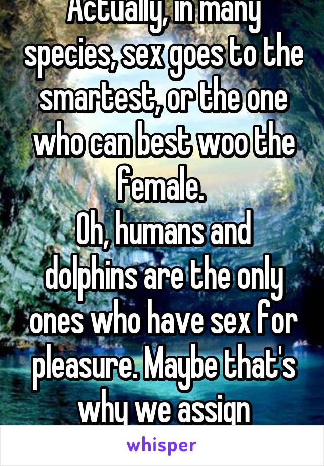 Actually, in many species, sex goes to the smartest, or the one who can best woo the female. 
Oh, humans and dolphins are the only ones who have sex for pleasure. Maybe that's why we assign meaning? 