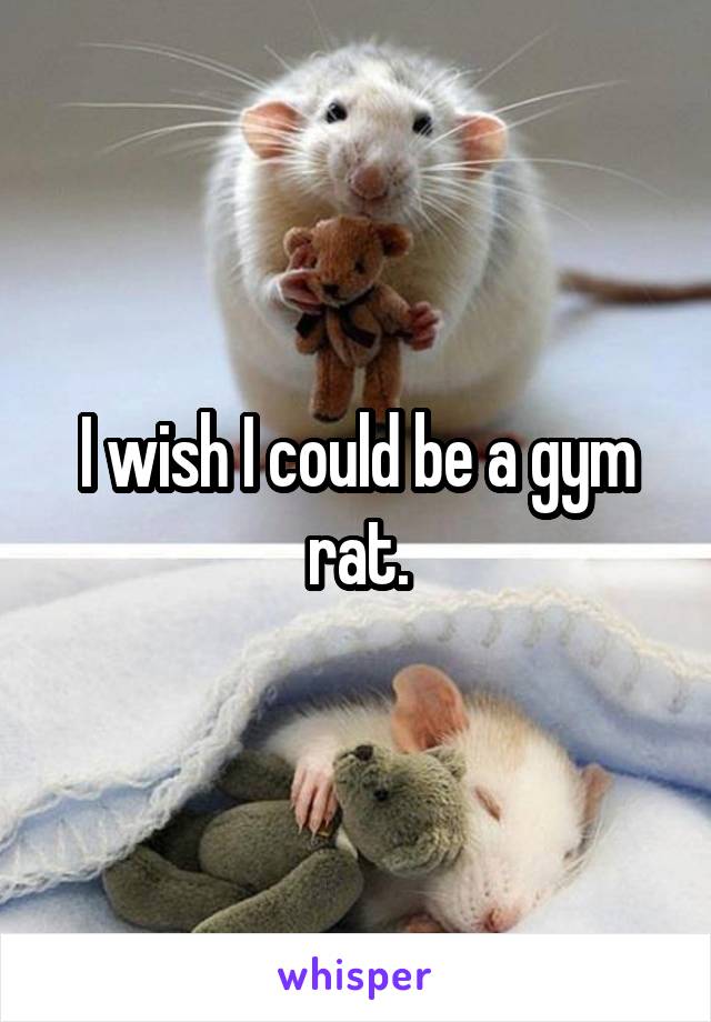 I wish I could be a gym rat.