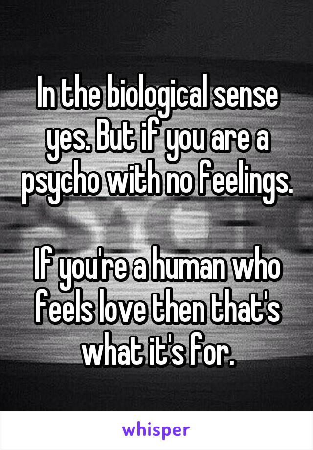 In the biological sense yes. But if you are a psycho with no feelings. 
If you're a human who feels love then that's what it's for.