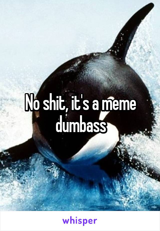 No shit, it's a meme dumbass