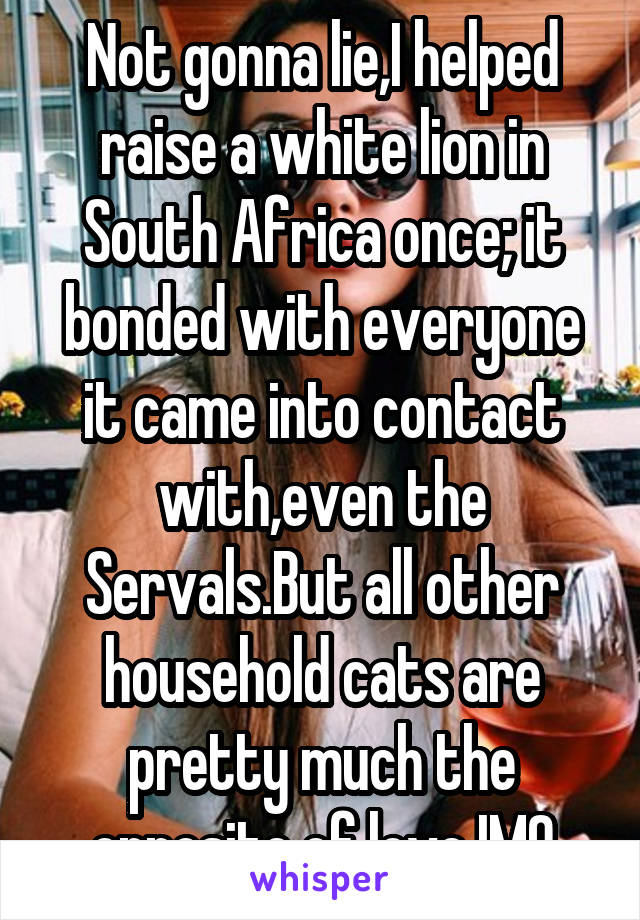 Not gonna lie,I helped raise a white lion in South Africa once; it bonded with everyone it came into contact with,even the Servals.But all other household cats are pretty much the opposite of love IMO