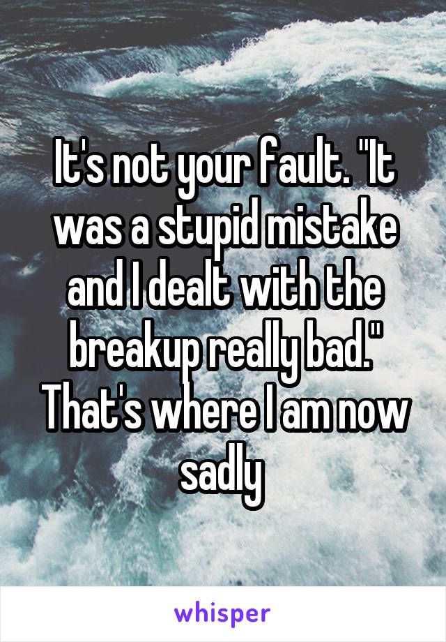 It's not your fault. "It was a stupid mistake and I dealt with the breakup really bad." That's where I am now sadly 