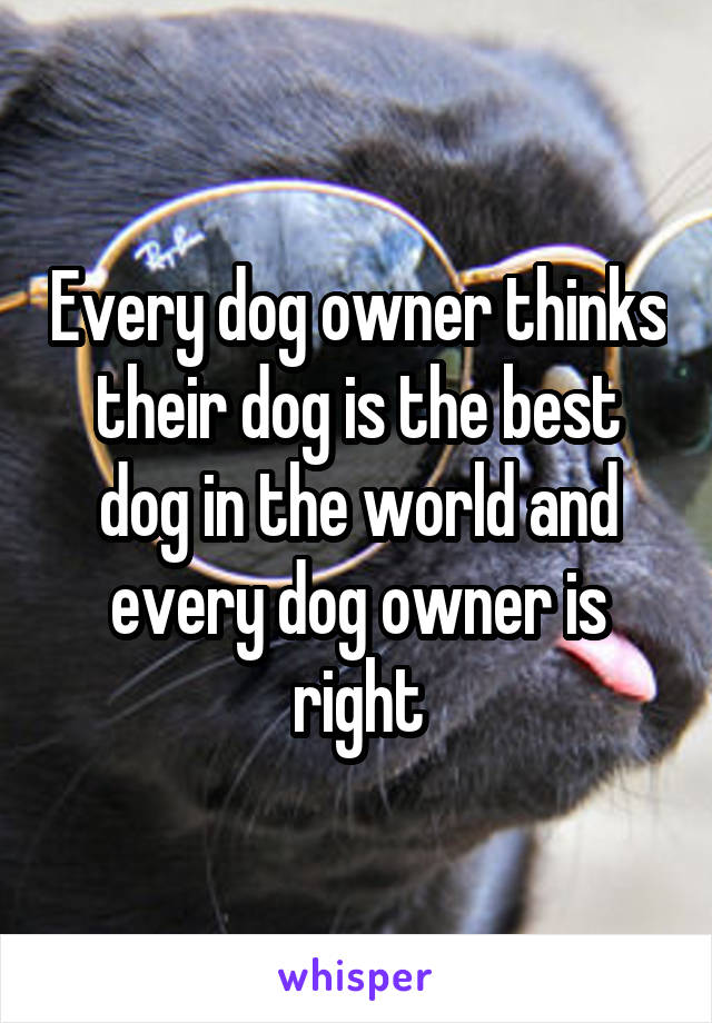Every dog owner thinks their dog is the best dog in the world and every dog owner is right