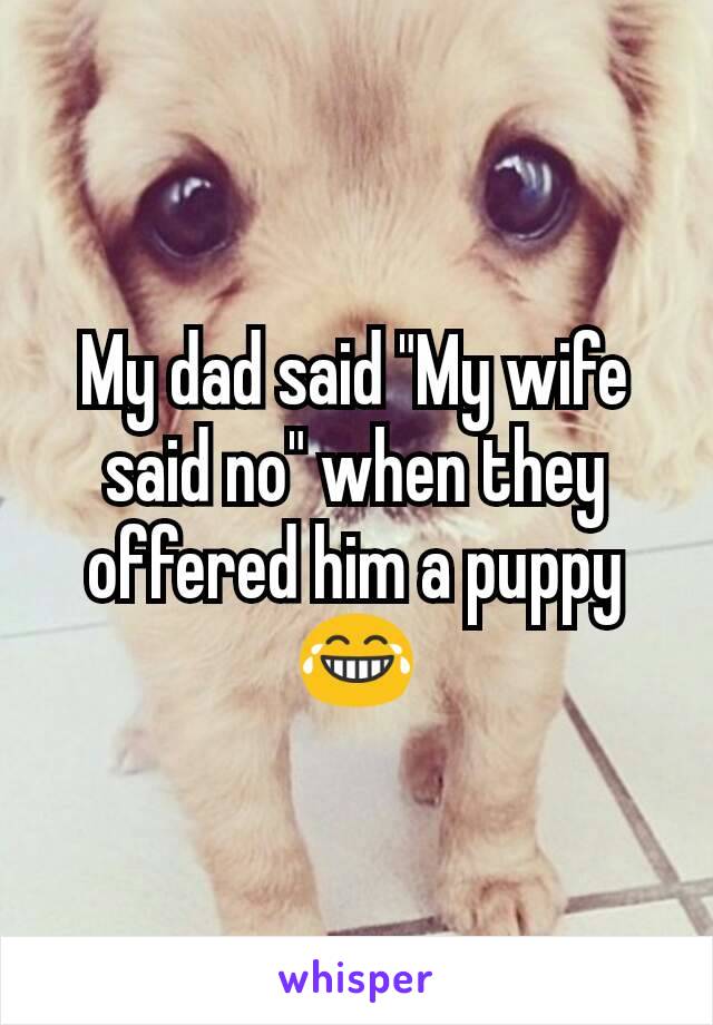 My dad said "My wife said no" when they offered him a puppy 😂