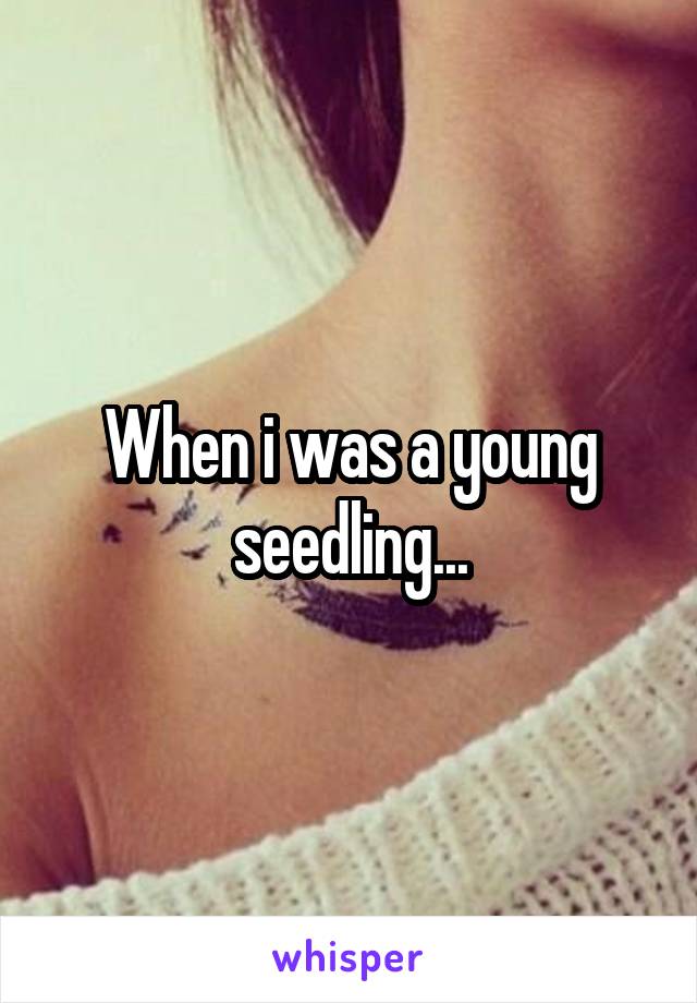 When i was a young seedling...