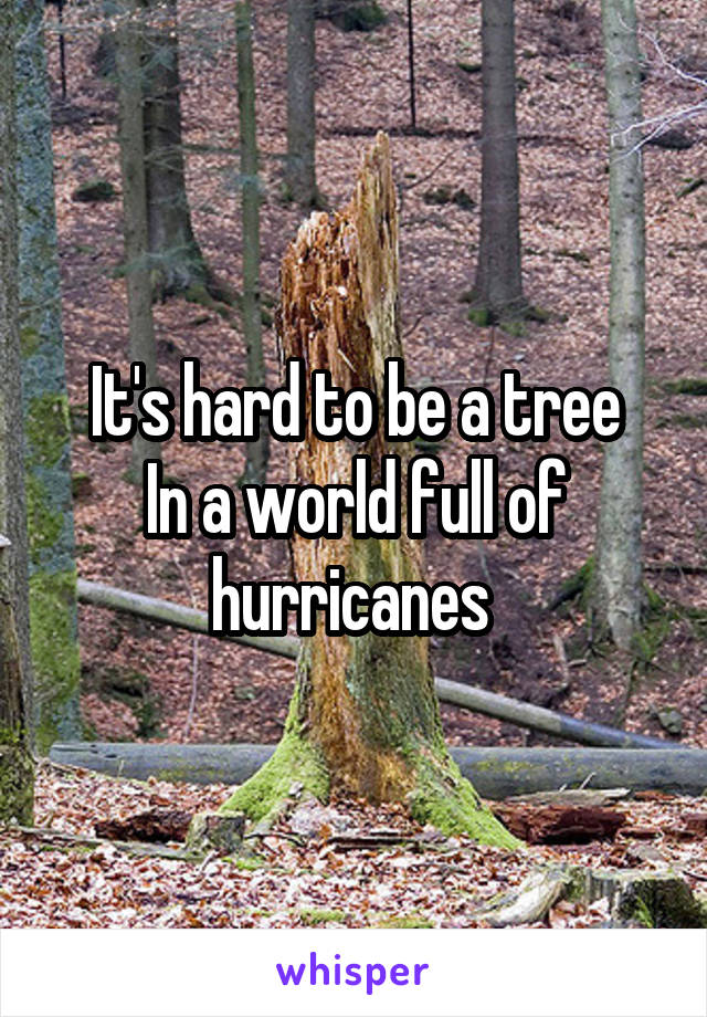 It's hard to be a tree
In a world full of hurricanes 