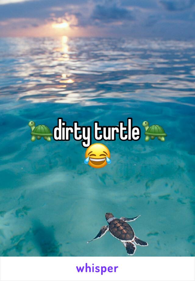 🐢dirty turtle🐢 
😂