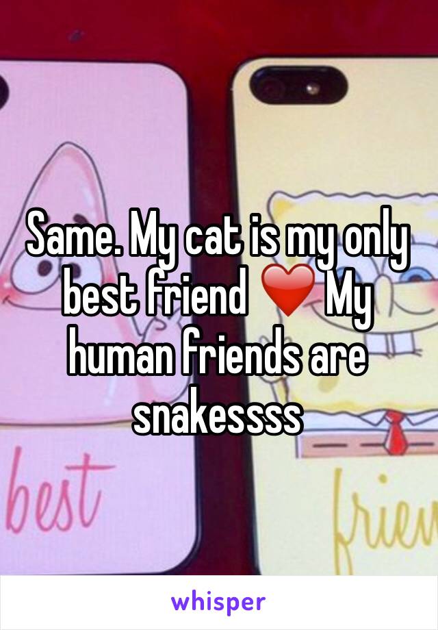 Same. My cat is my only best friend ❤️ My human friends are snakessss