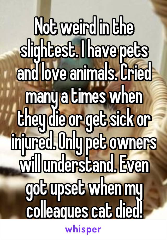 Not weird in the slightest. I have pets and love animals. Cried many a times when they die or get sick or injured. Only pet owners will understand. Even got upset when my colleagues cat died!