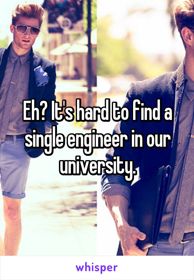 Eh? It's hard to find a single engineer in our university.