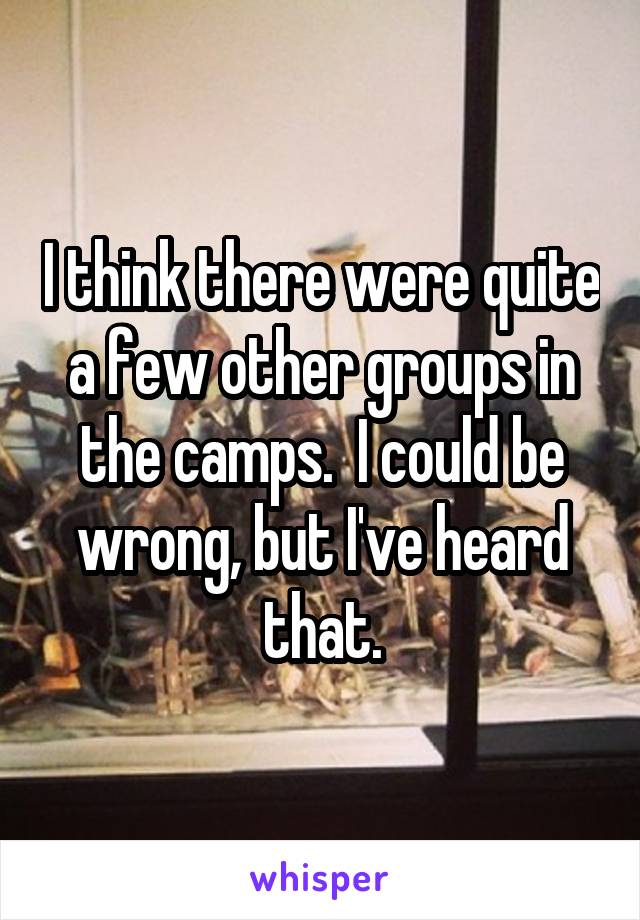 I think there were quite a few other groups in the camps.  I could be wrong, but I've heard that.