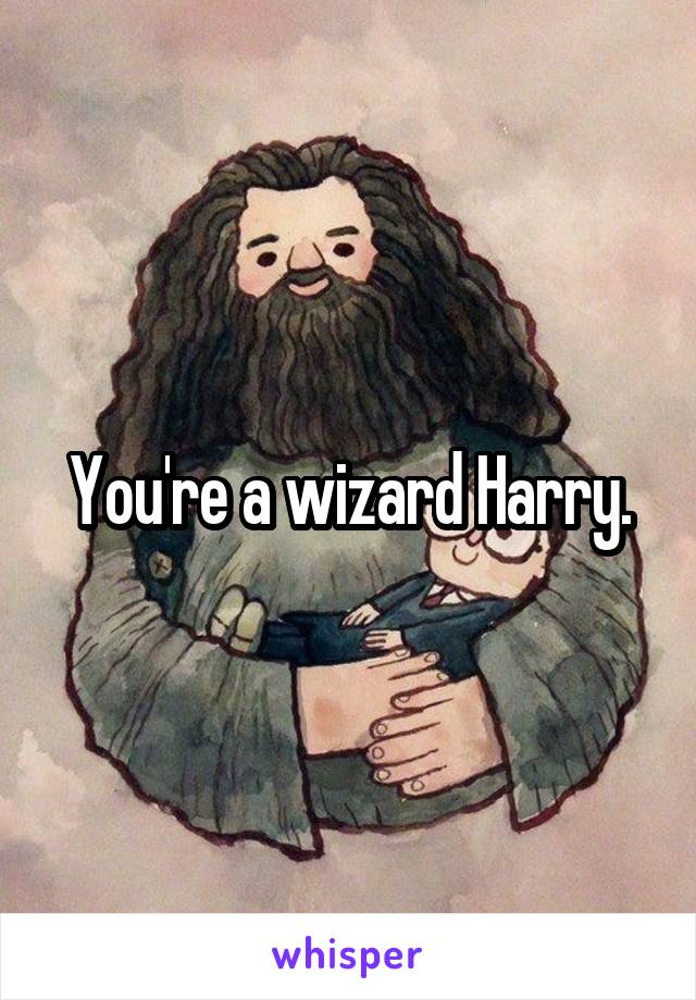 You're a wizard Harry.