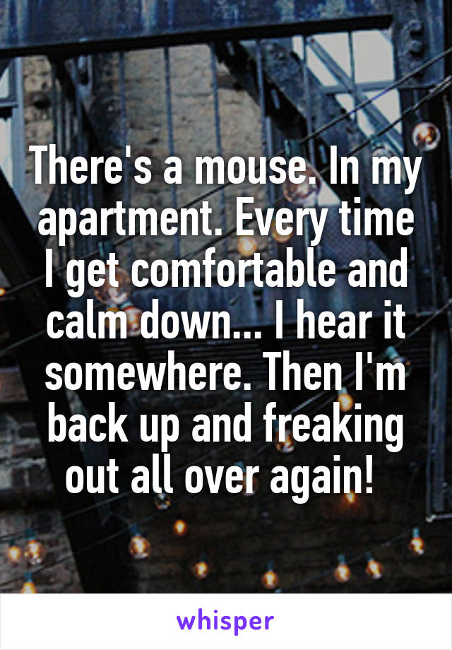 There's a mouse. In my apartment. Every time I get comfortable and calm down... I hear it somewhere. Then I'm back up and freaking out all over again! 