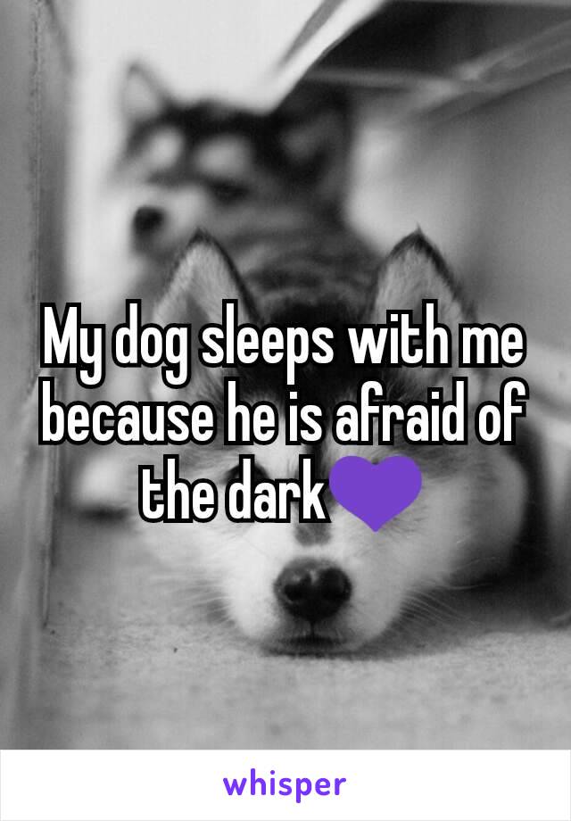My dog sleeps with me because he is afraid of the dark💜