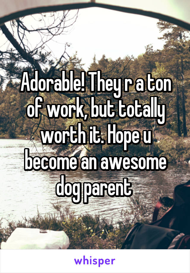 Adorable! They r a ton of work, but totally worth it. Hope u become an awesome dog parent 