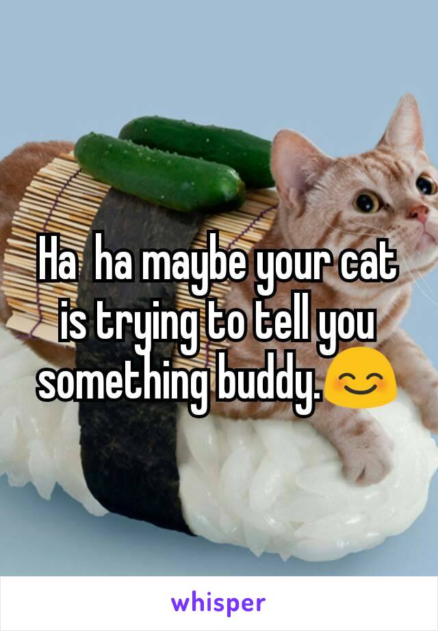 Ha  ha maybe your cat is trying to tell you something buddy.😊