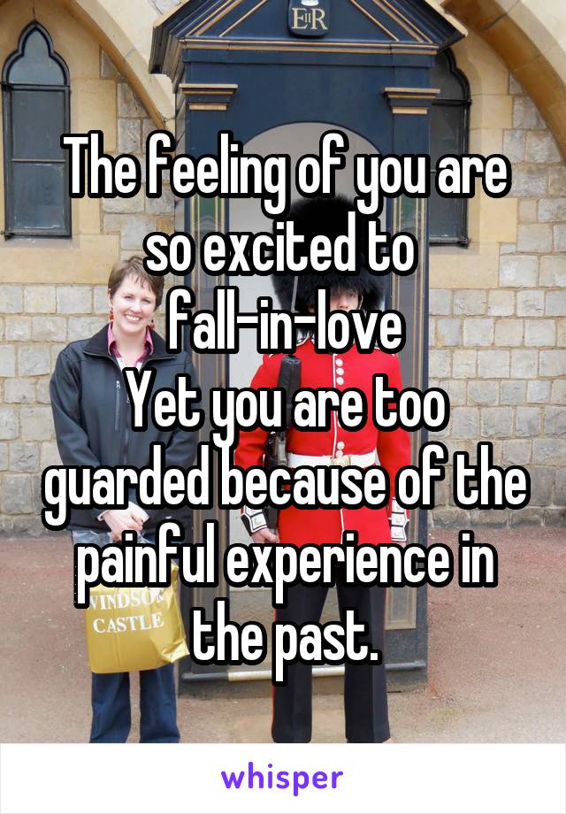 The feeling of you are so excited to 
fall-in-love
Yet you are too guarded because of the painful experience in the past.