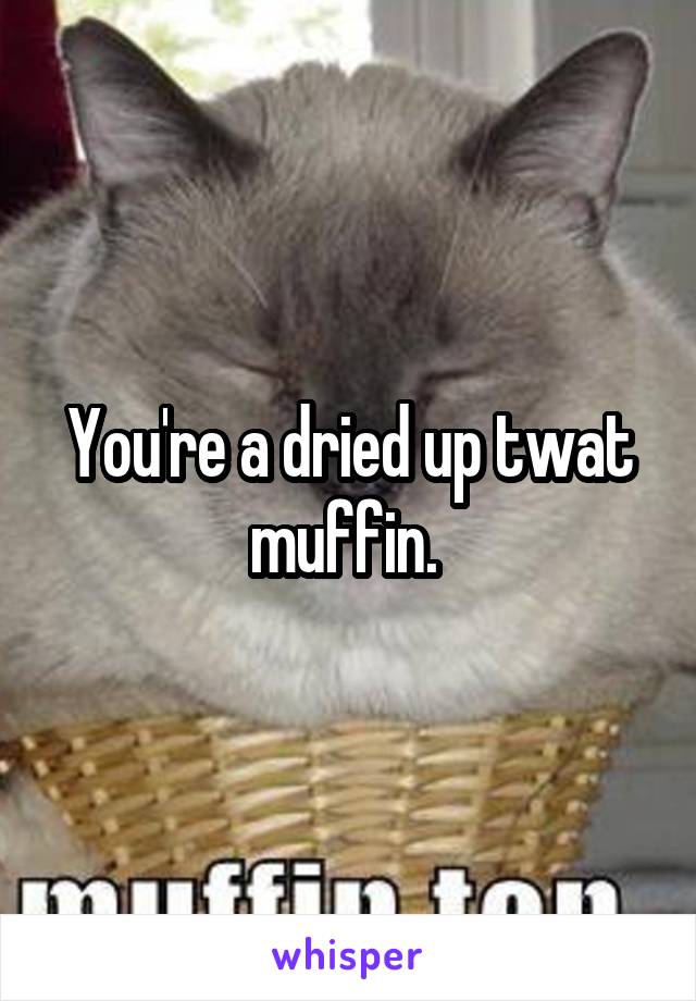 You're a dried up twat muffin. 