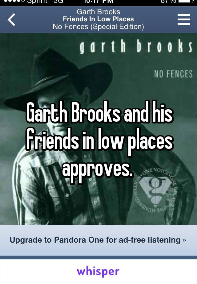 Garth Brooks and his friends in low places approves. 