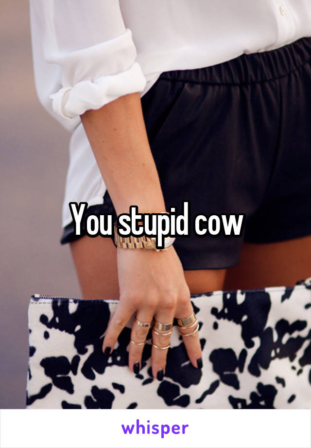 You stupid cow