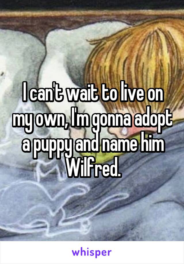 I can't wait to live on my own, I'm gonna adopt a puppy and name him Wilfred.