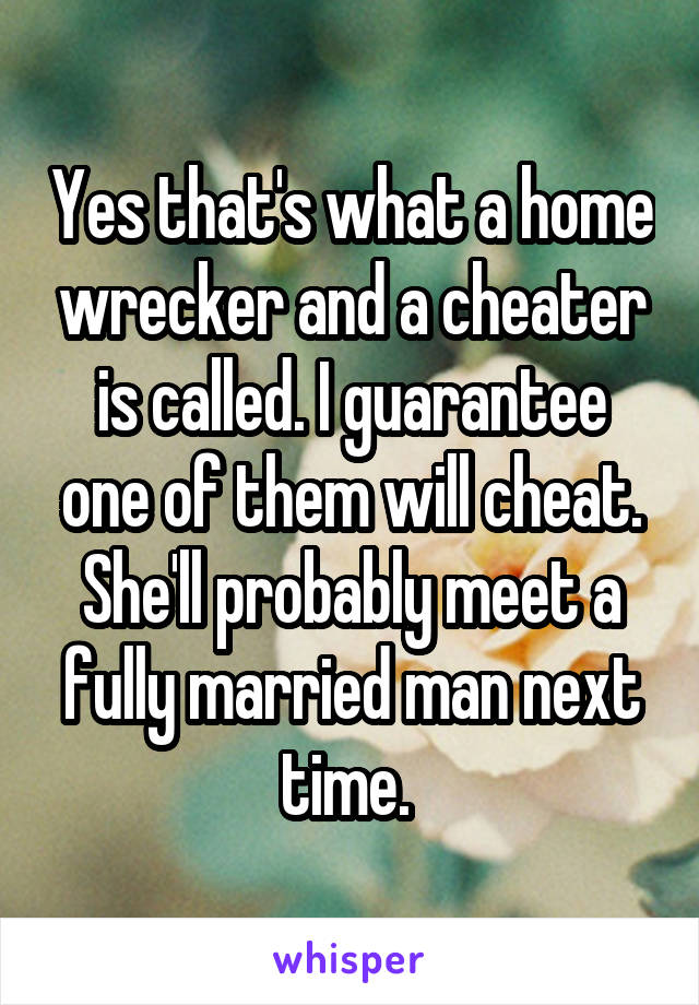 Yes that's what a home wrecker and a cheater is called. I guarantee one of them will cheat. She'll probably meet a fully married man next time. 