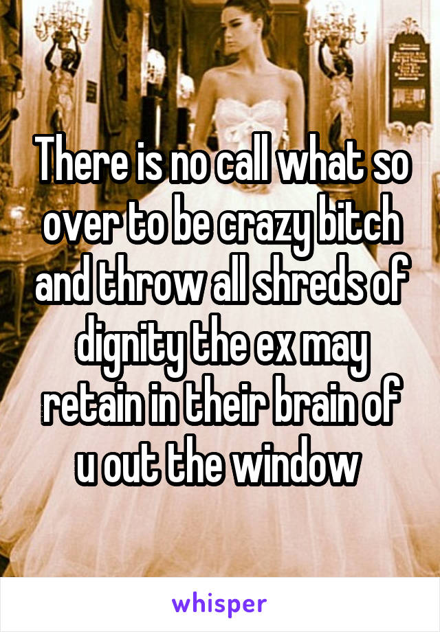 There is no call what so over to be crazy bitch and throw all shreds of dignity the ex may retain in their brain of u out the window 