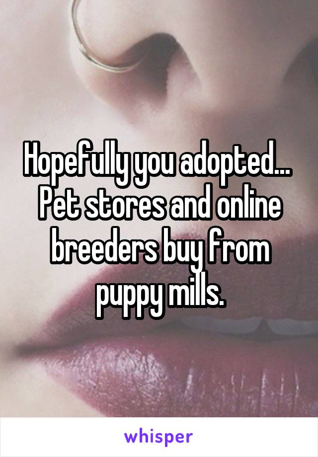 Hopefully you adopted... 
Pet stores and online breeders buy from puppy mills.