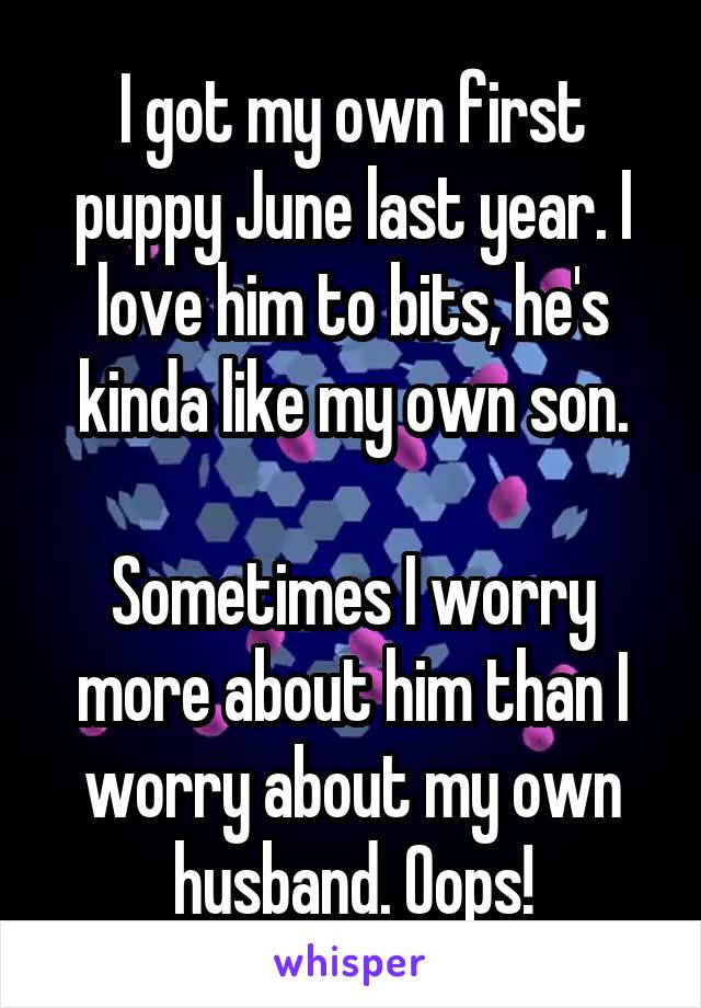 I got my own first puppy June last year. I love him to bits, he's kinda like my own son.

Sometimes I worry more about him than I worry about my own husband. Oops!