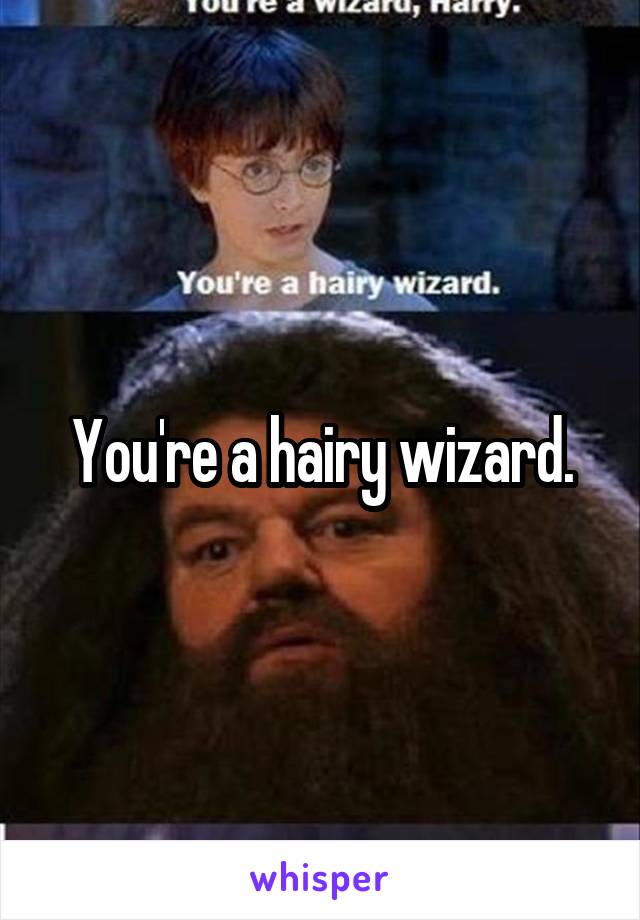 You're a hairy wizard.