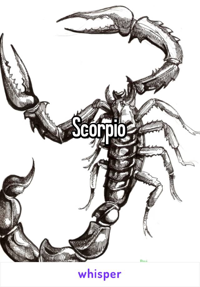 Scorpio 
