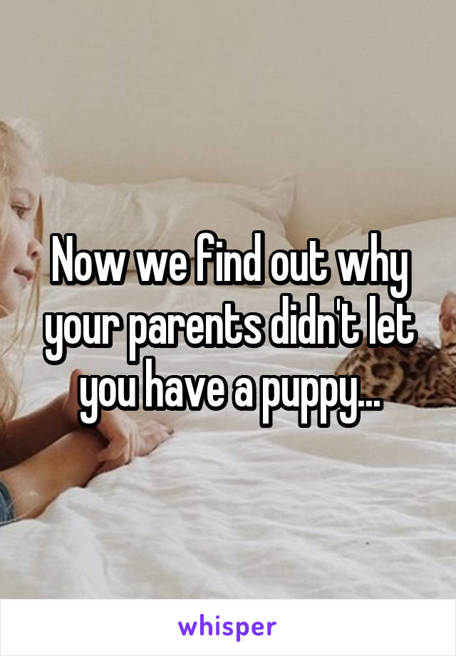 Now we find out why your parents didn't let you have a puppy...