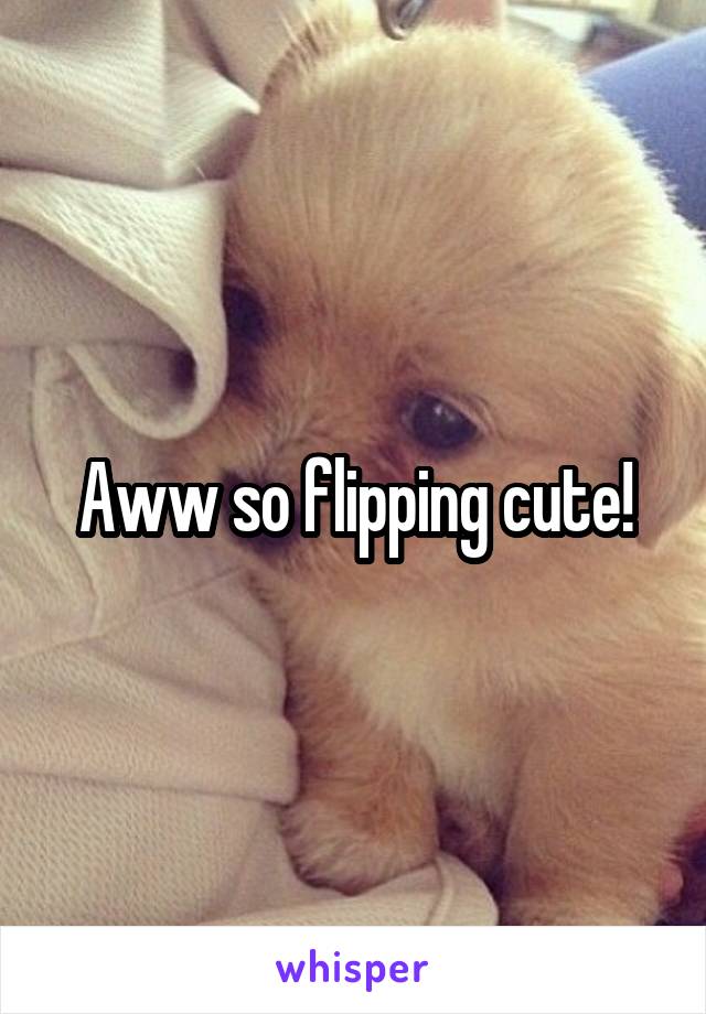 Aww so flipping cute!