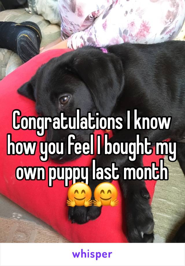 Congratulations I know how you feel I bought my own puppy last month 🤗🤗
