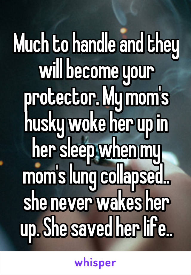 Much to handle and they will become your protector. My mom's husky woke her up in her sleep when my mom's lung collapsed.. she never wakes her up. She saved her life..